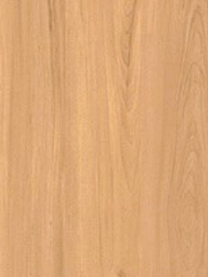 Natural Wood finish