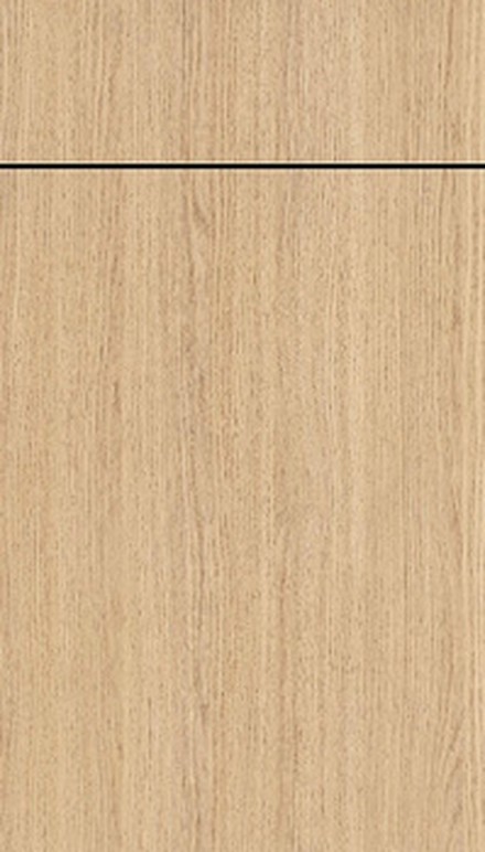 Modern Oak frameless door