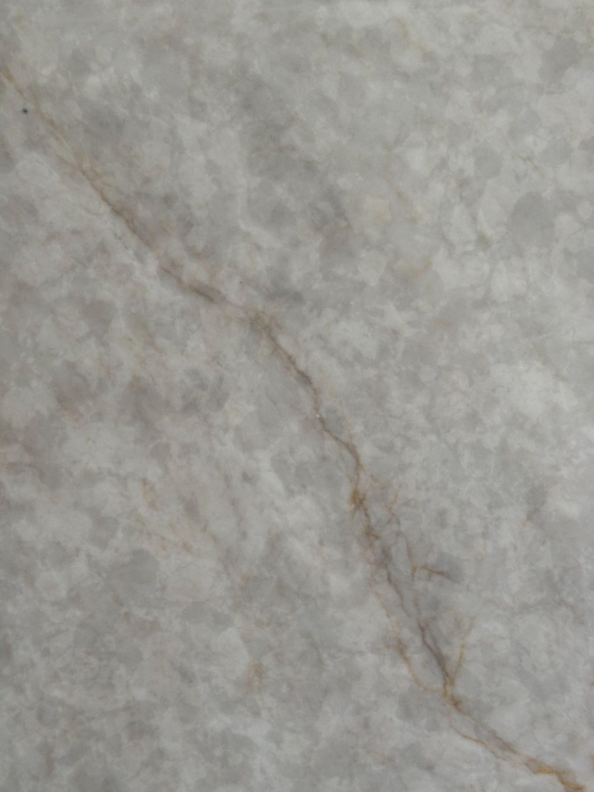 Crystalline white New Taj Mahal quartzite with subtle gold veins.