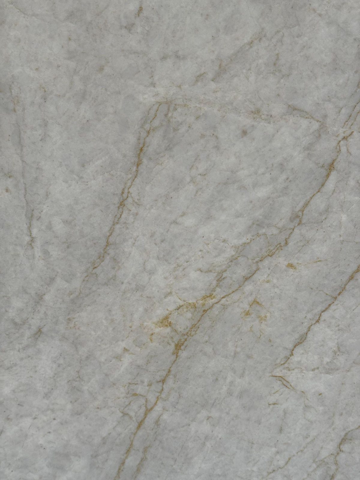 Cream Taj Mahal quartzite with golden-brown veining.